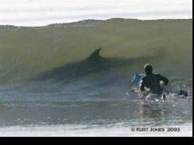 surf